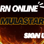 MulaStar Agencies